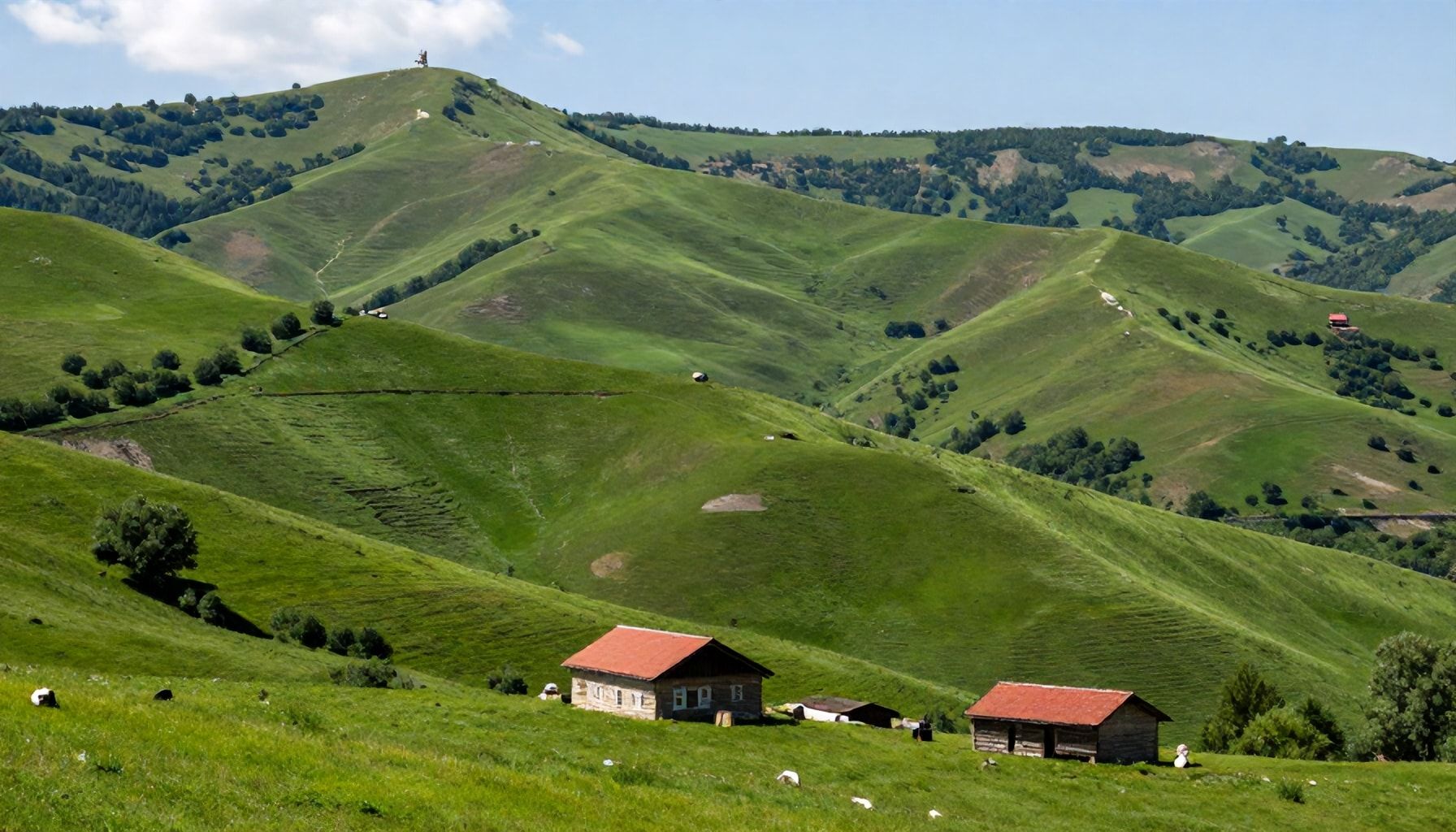 The Truth About Çankırı’s Microclimates and How They Affect Your Plans*