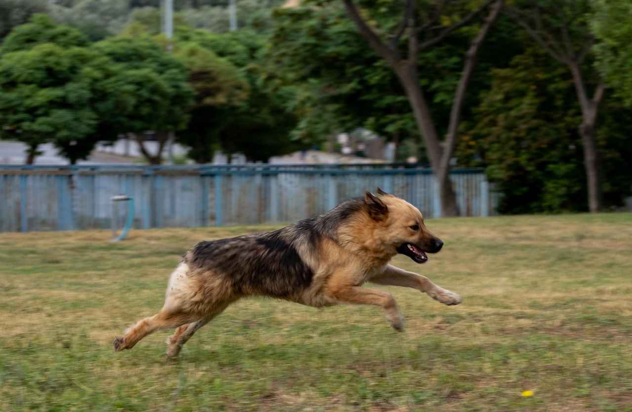 Bağcılar'da Hangi Sokak Lezzetleri Var?
