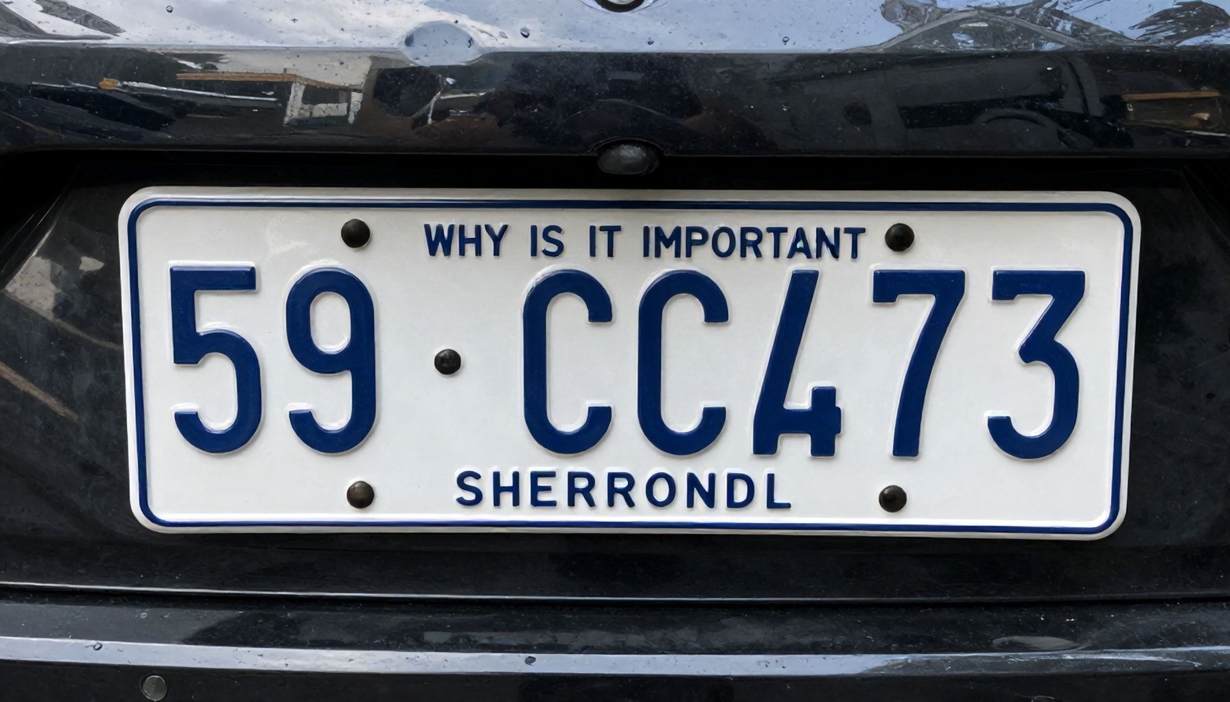 59 Nerenin Plakası Neden Önemli? Güvenlik ve Stilinizi Nasıl Artırır"*