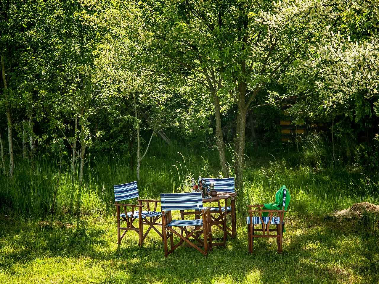 KPSS, DGS ve ALES İçin Çalışma Stratejileri