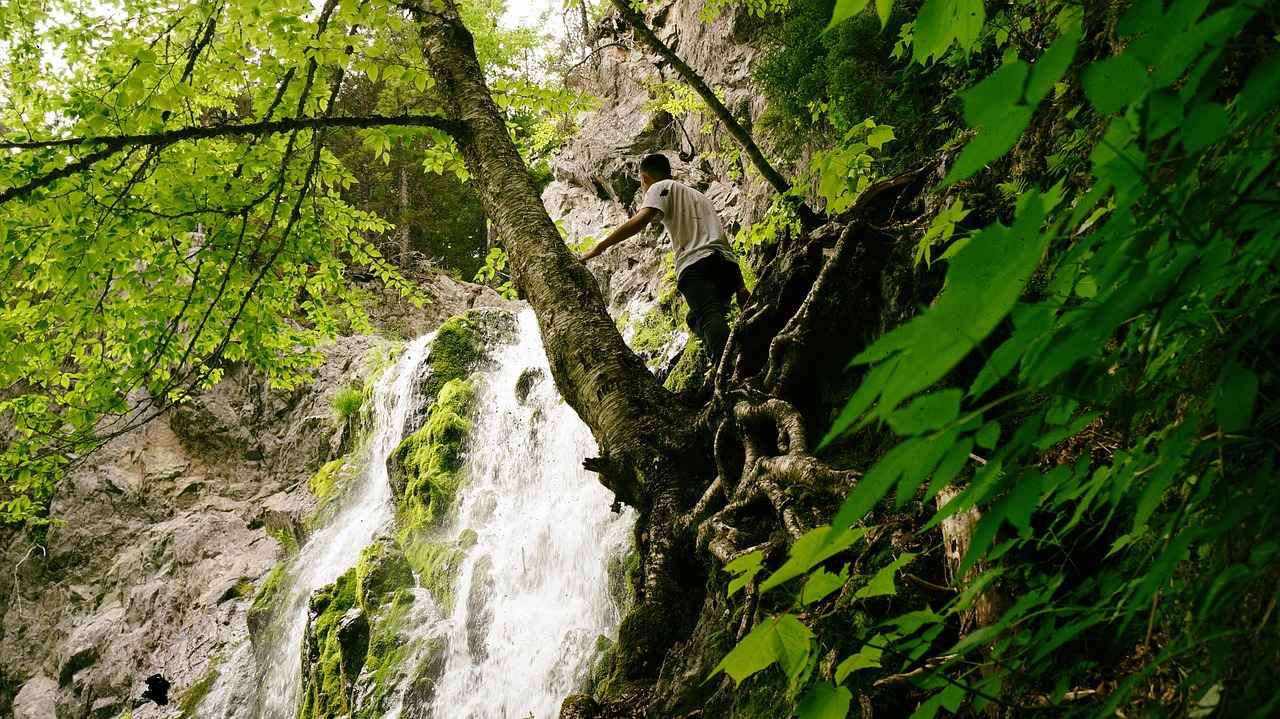 Ehliyet Alma Süreci ve Gereksinimler