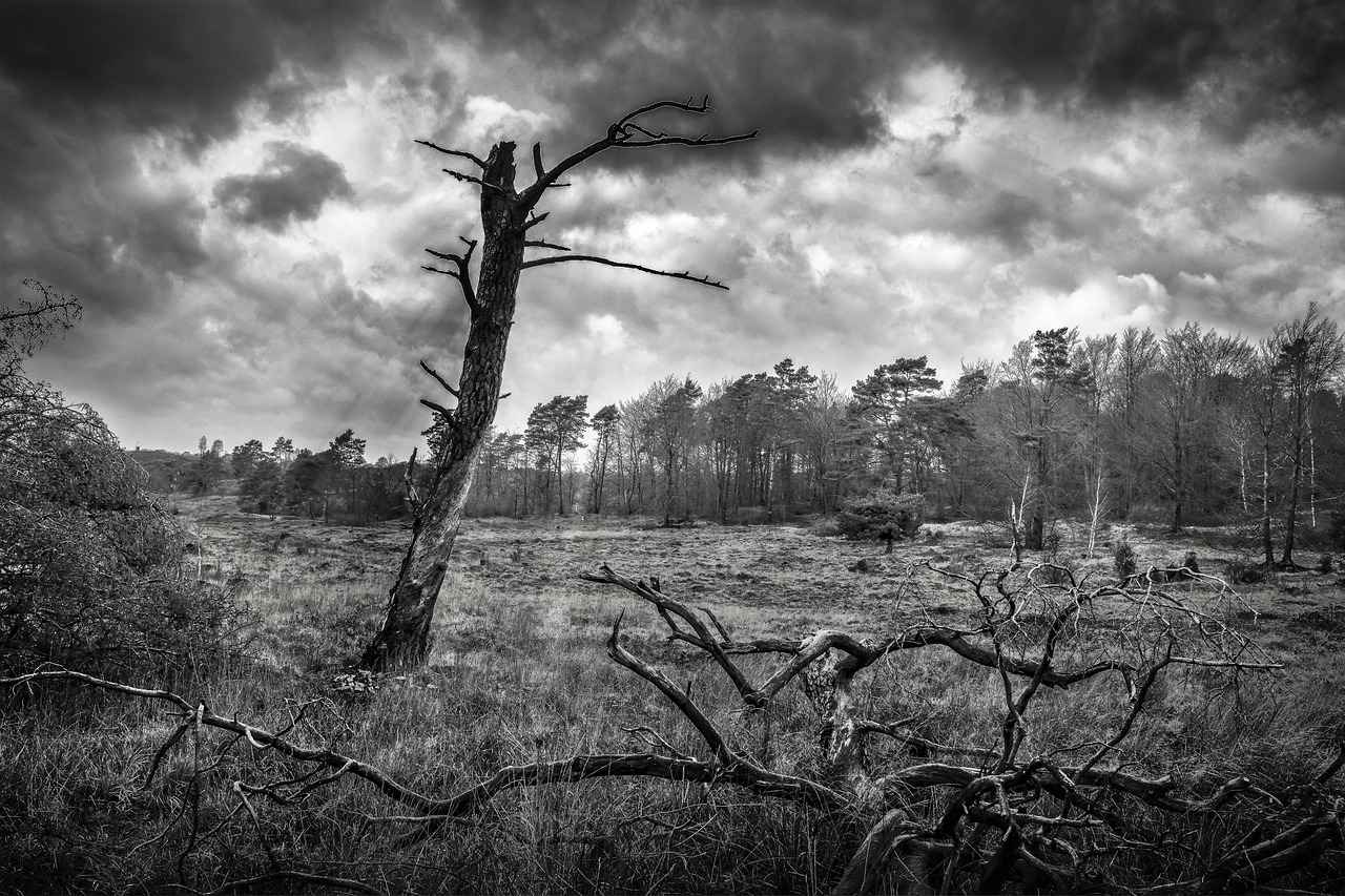 Bağcılar Fen Liseleri: Neden Tercih Edilmeli?