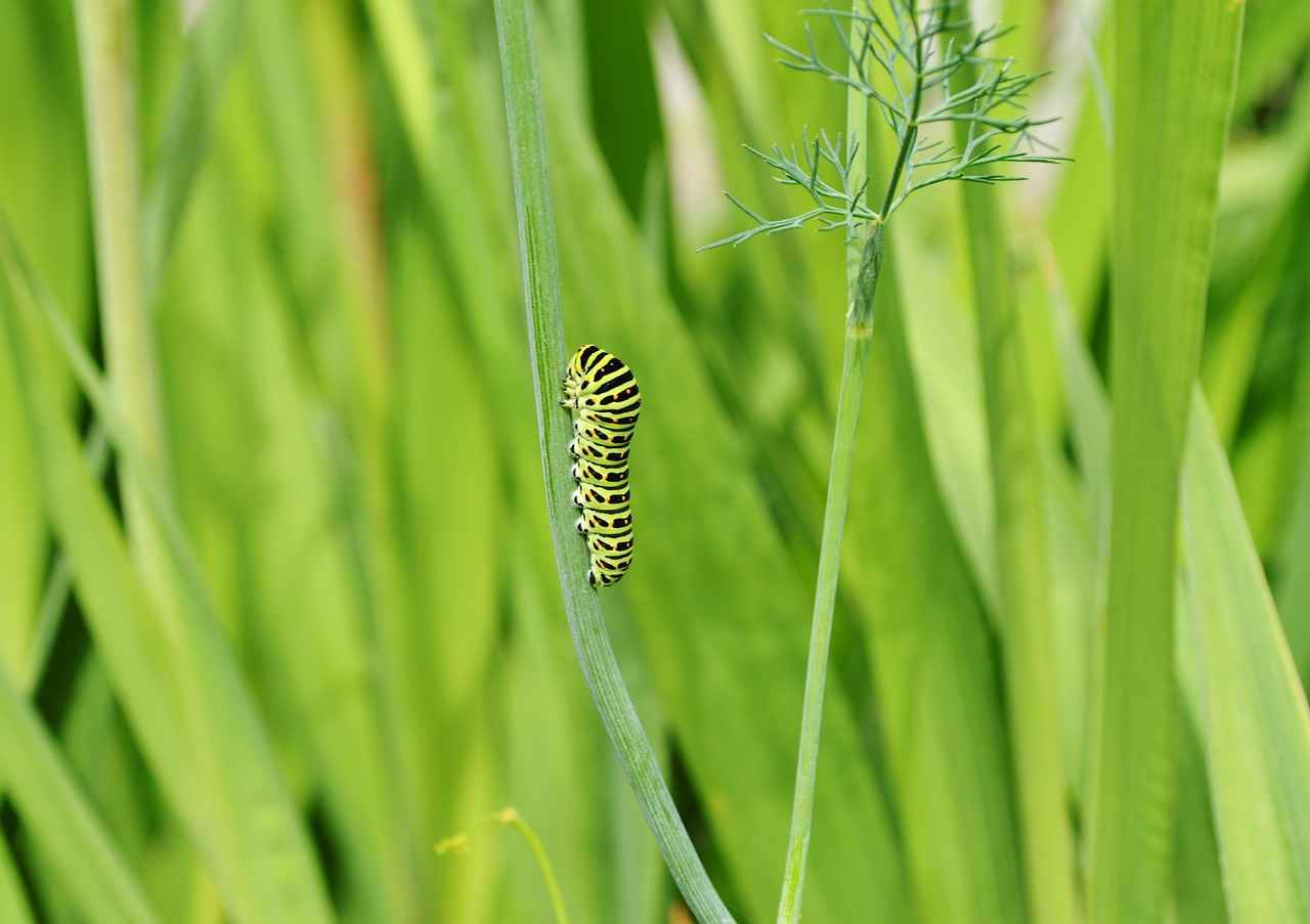 Yabancı Dil Kursları Seçerken Nelere Dikkat Edilmeli?