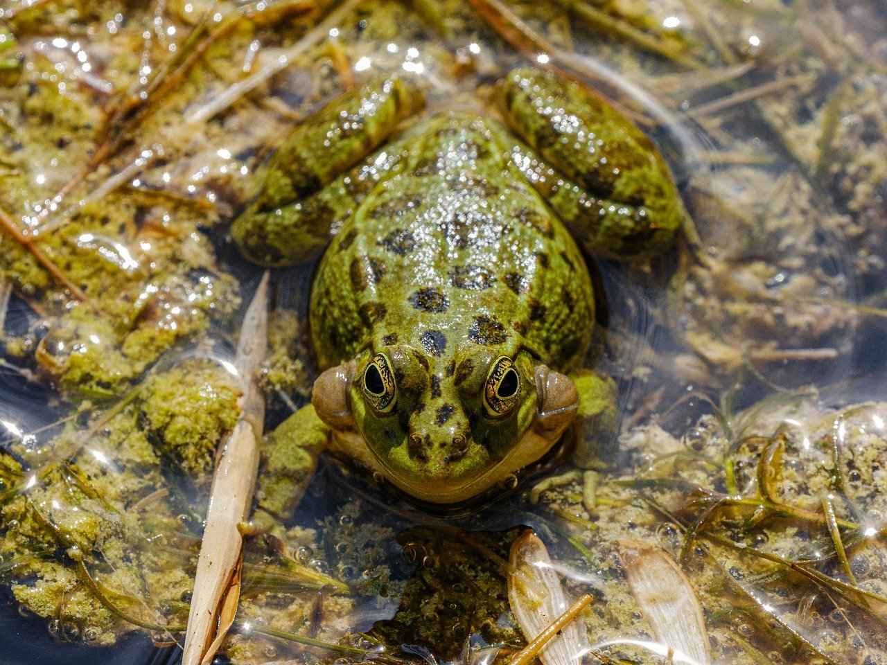 Bağcılar’da Çevre Temizliği Nasıl Sağlanıyor?