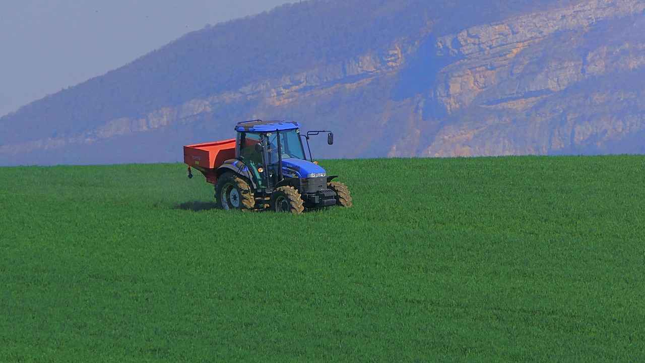 Merkezdeki Tesisler ve Olanaklar Nelerdir?