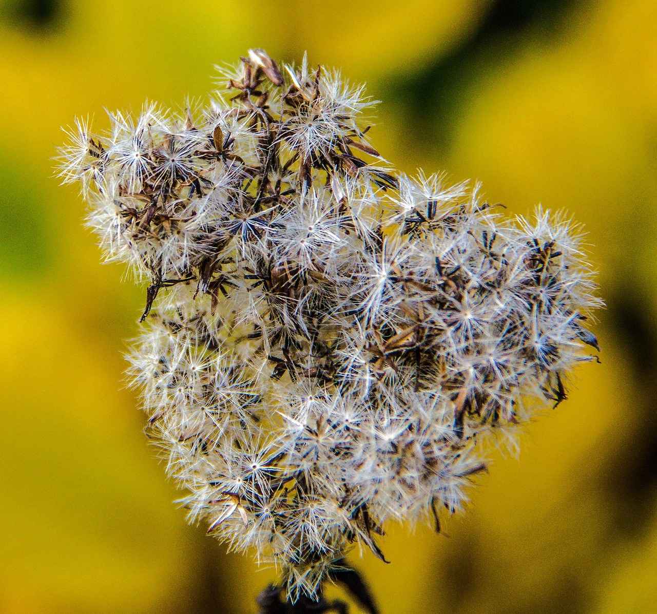 Bağcılar'da Spor Salonları Nerede Bulunur?