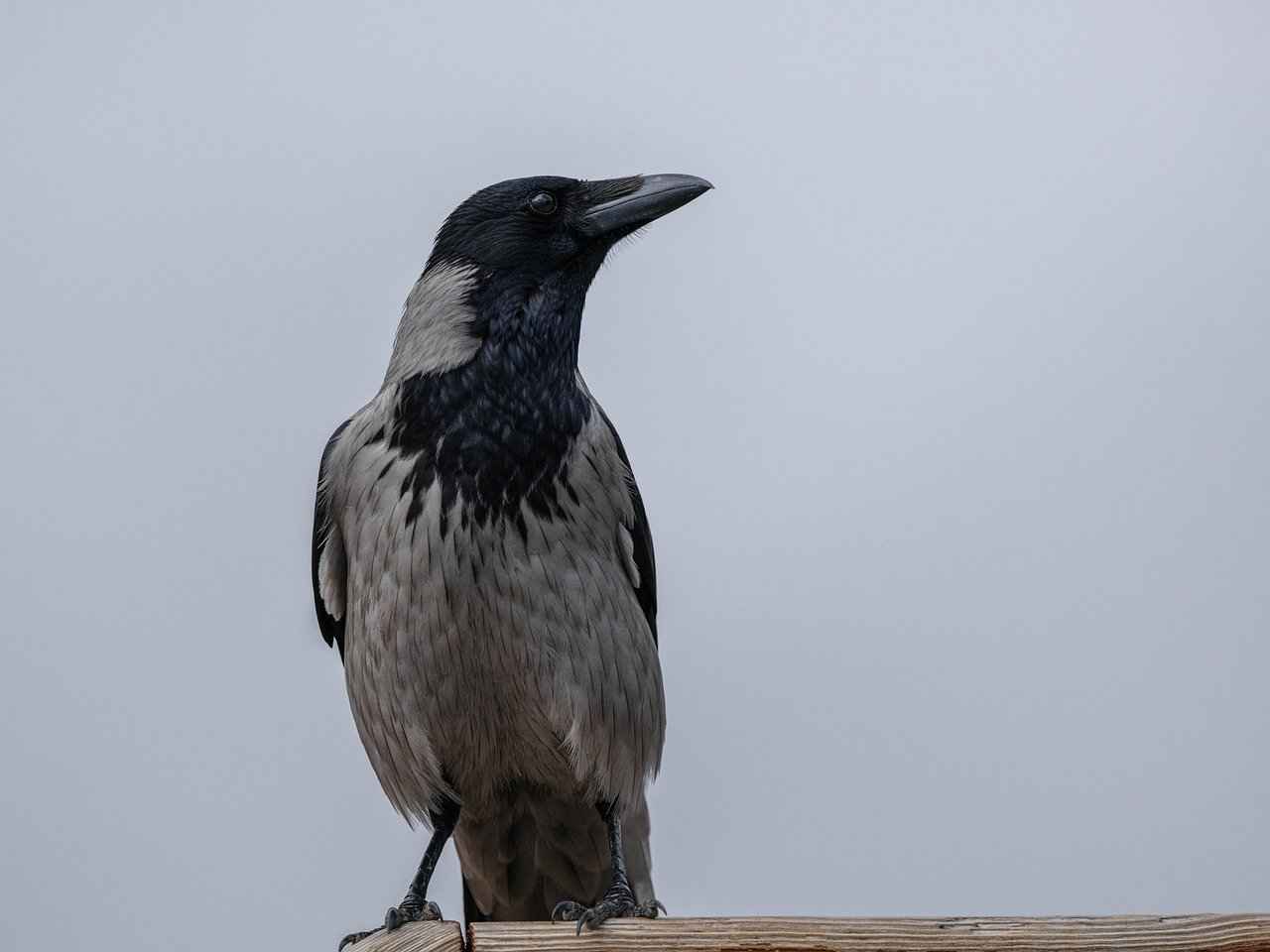 Toplumsal Farkındalık ve Eğitim Programları