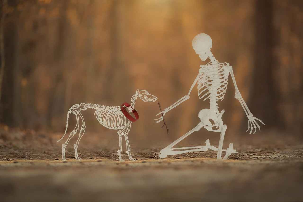 Bağcılar Belediyesi’nin Engelli Hizmetleri Nelerdir?