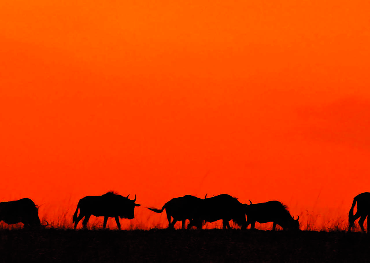 İŞKUR'un Sağladığı Diğer Destekler Nelerdir?