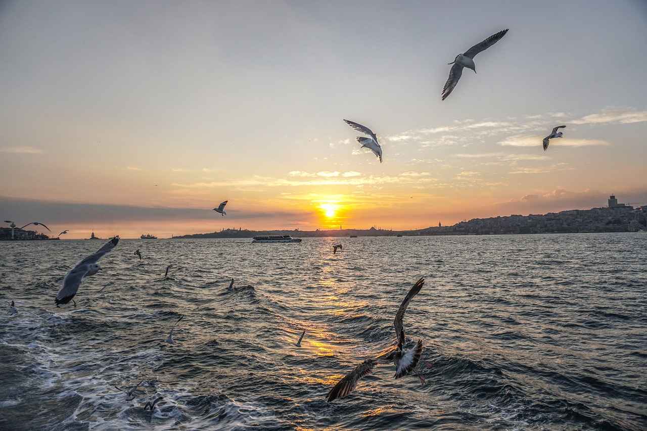 Bağcılar Vergi Dairesi Nerededir?