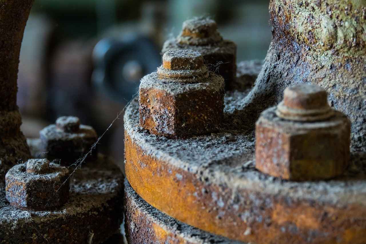 Aşı Hizmetleri Nedir?