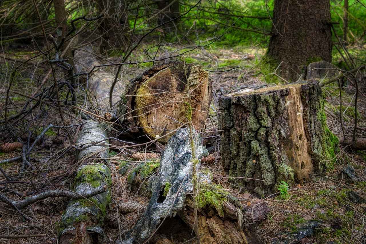 Bağcılar'daki Aile Hekimliği Uygulamaları Nelerdir?