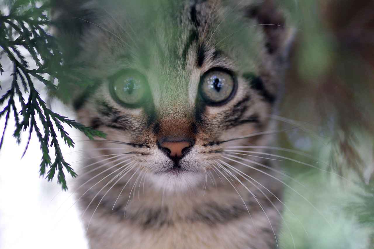 Fatih Mahallesi'nde Hangi Eğlence Mekanları Var?