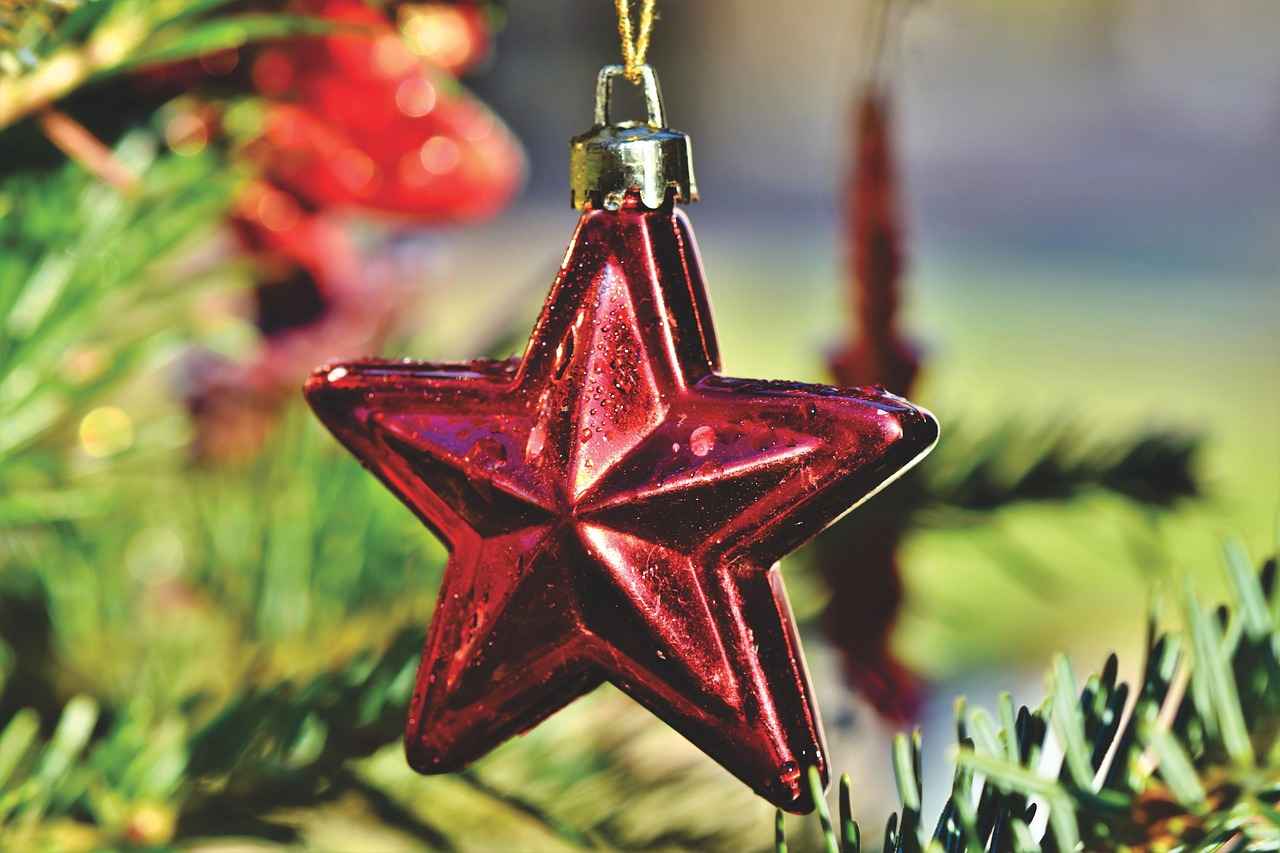 Bağcılar'da Hangi Mobilya Mağazaları Var?