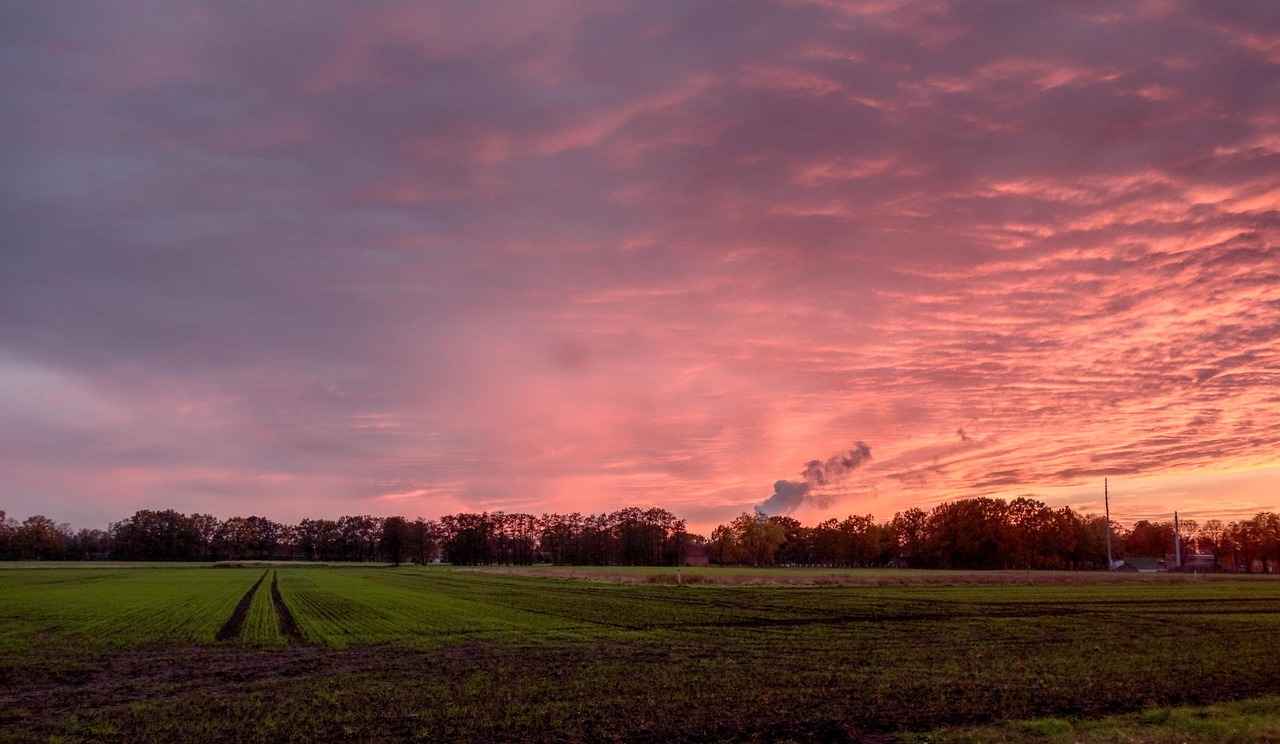 Ev Dekorasyonu İçin En İyi Mağazalar Hangileri?