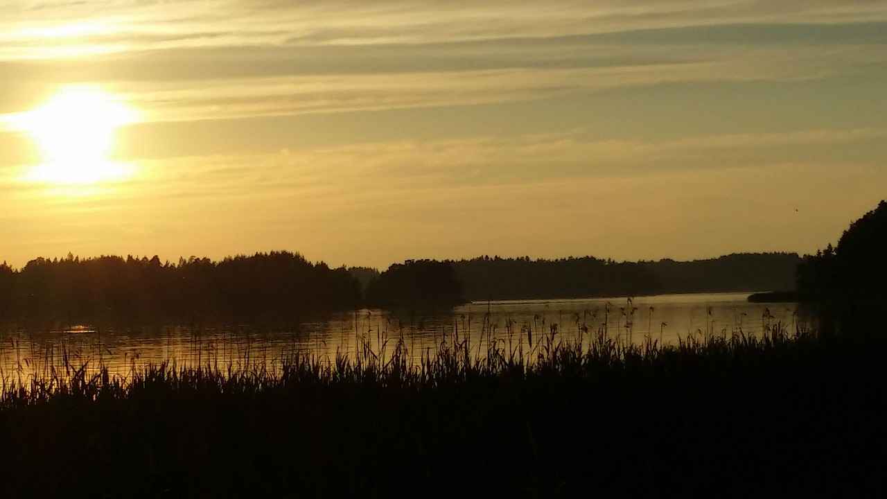 Bağcılar'daki Yerel İşletmelerin Dijitalleşme Süreci