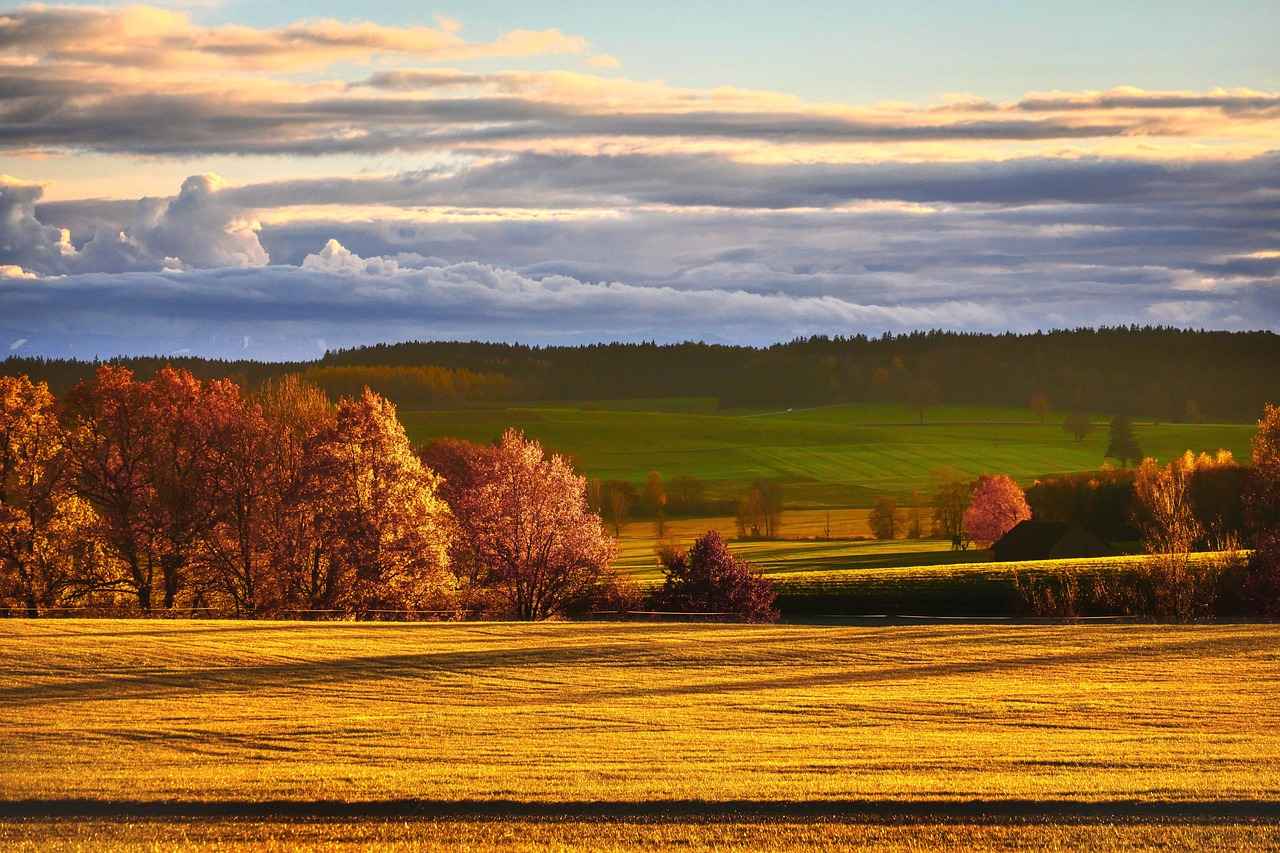 Bağcılar’da Kiralık Ev Ararken Dikkat Edilmesi Gerekenler Nelerdir?