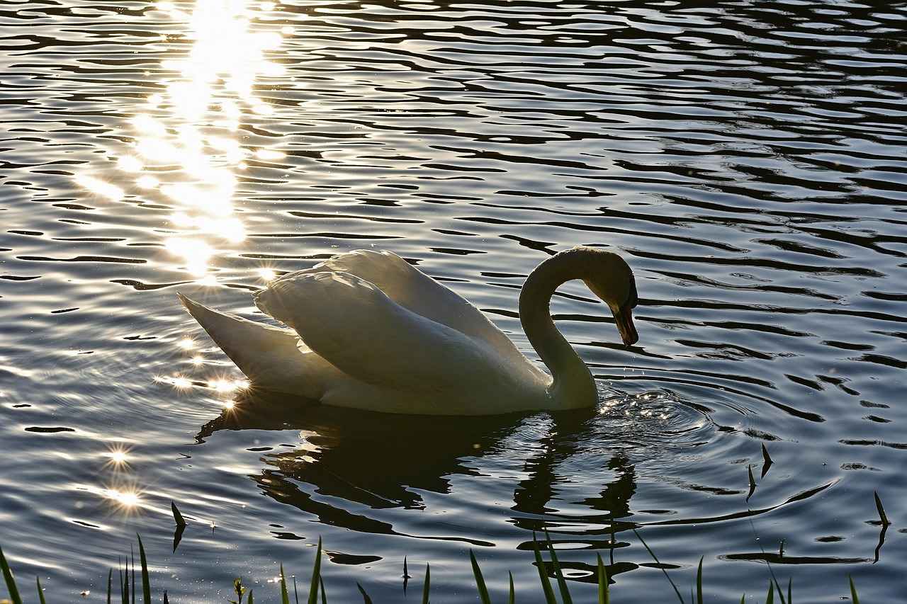 Bağcılar’da Kiralık Ev Piyasası Nasıl? Analiz