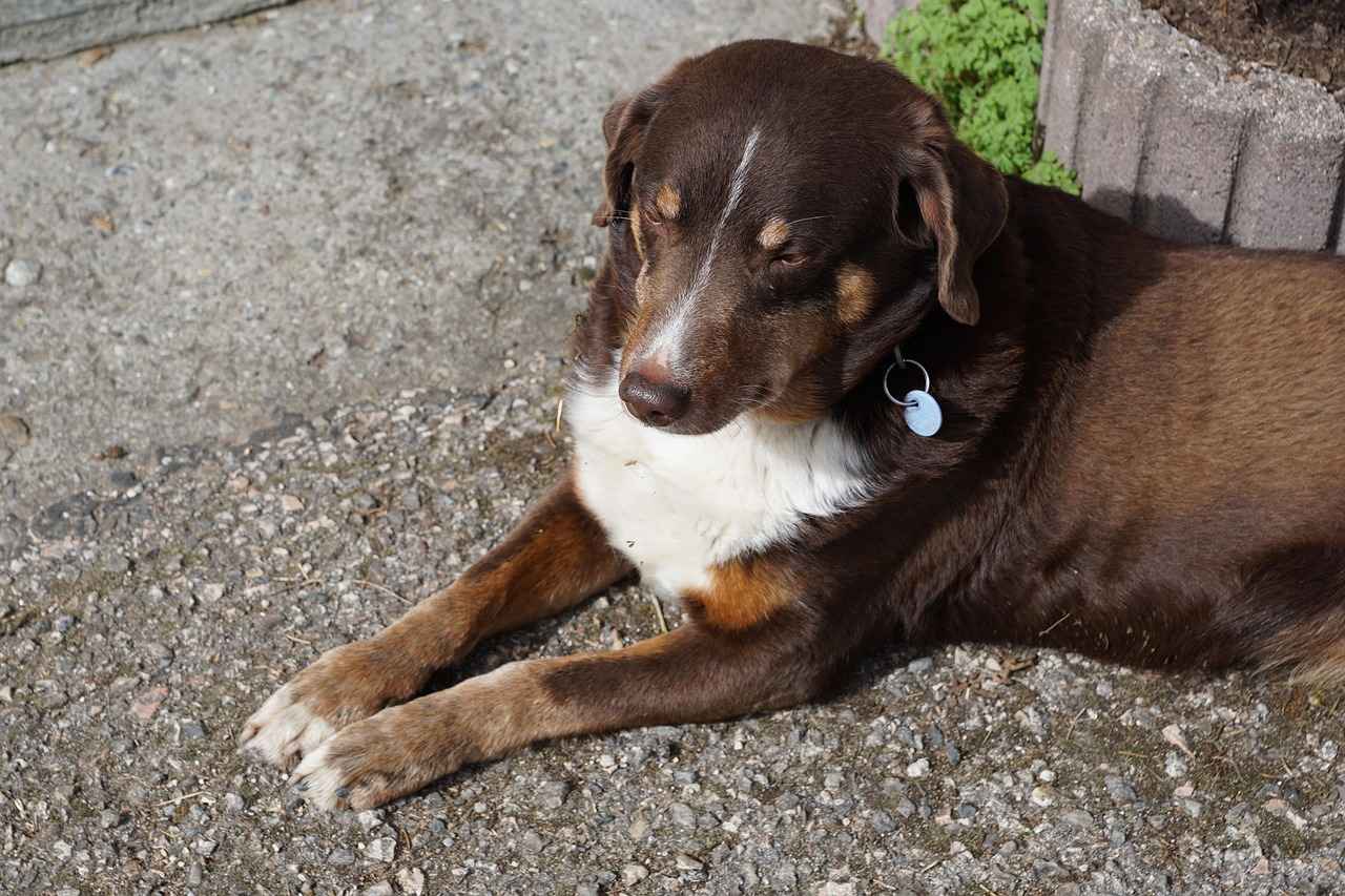 Kiracıların Hakları ve Korunma Yöntemleri Neler?