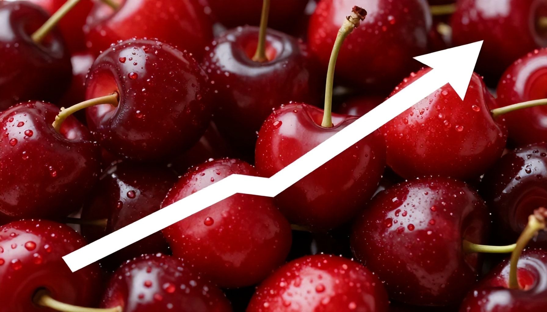 Yüksek Büyüme Potansiyeli Taşımakta Olan Vişne Madenciliği Hisseleri*