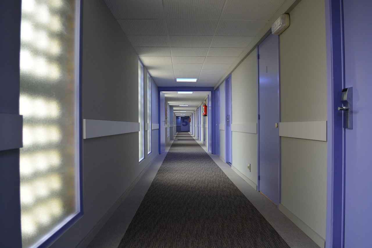 Yemek ve Restoran Seçenekleri