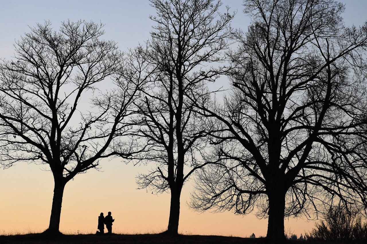 Günlük Kiralık Evlerin Avantajları Neler?