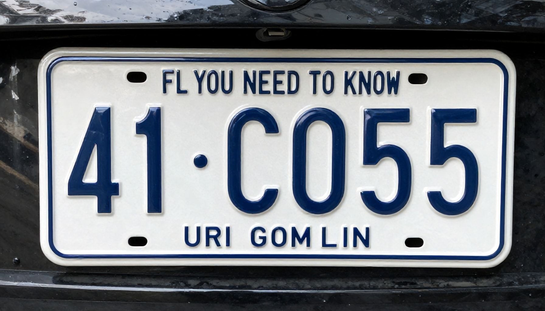 41 Nerenin Plakası Hakkında Bilmeniz Gereken Gerçekler*