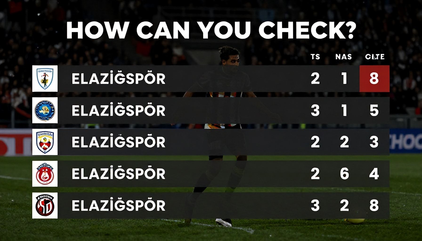 Elazığspor'un Puan Durumlarını Nasıl Kontrol Edersiniz?*