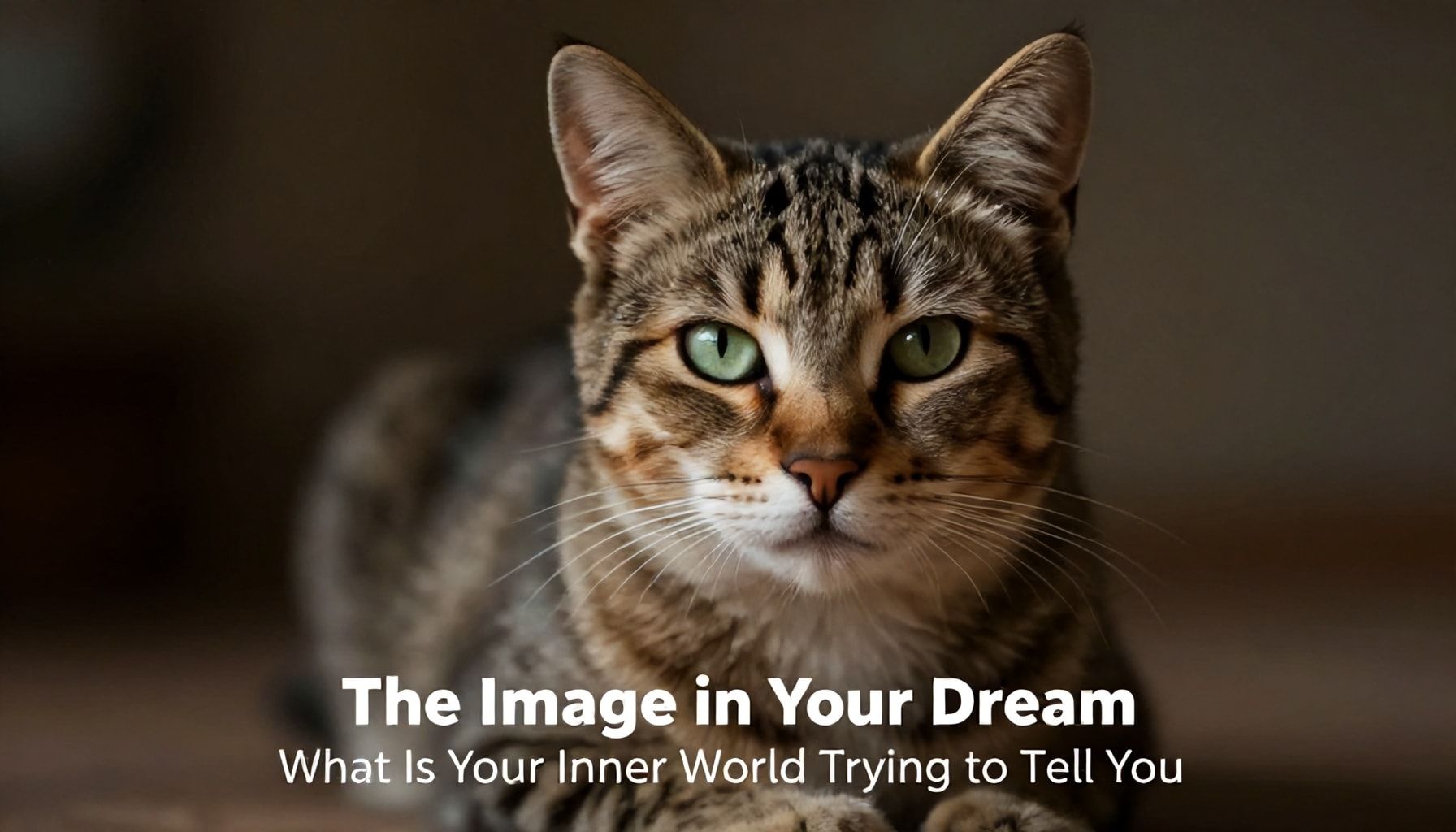 Rüyadaki Kedi Görüntüsü: İç Dünya Sizinle Nedir Konuşmaya Çalışıyor?*