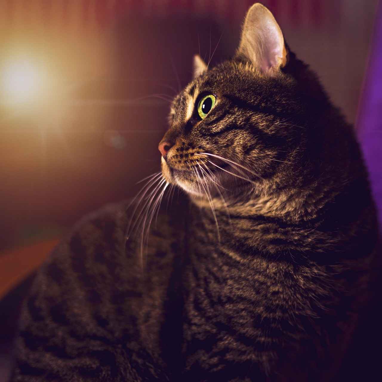 Bağcılar'a Hangi Ulaşım Araçları ile Gidilir?