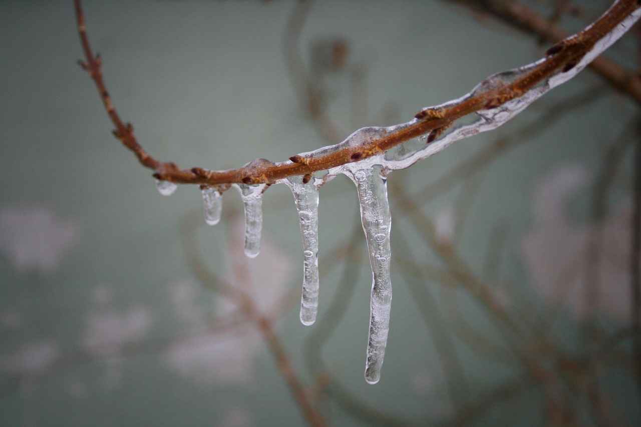 Bağcılar’da Araç Kiralama ve Otopark Sorunu Arasındaki İlişki Nedir?