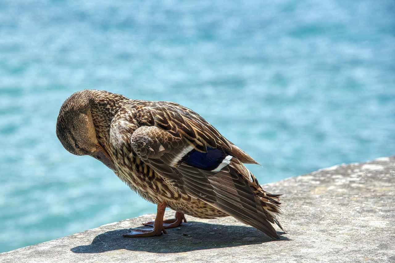 En Yoğun Trafik Noktaları Nereler?