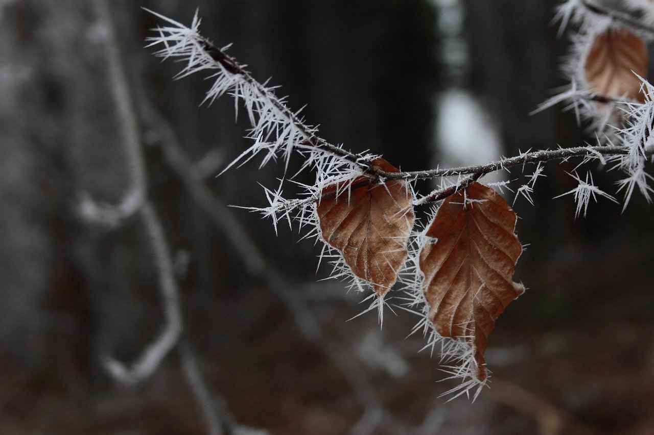 Otobüs Biletleri Nasıl Alınır?