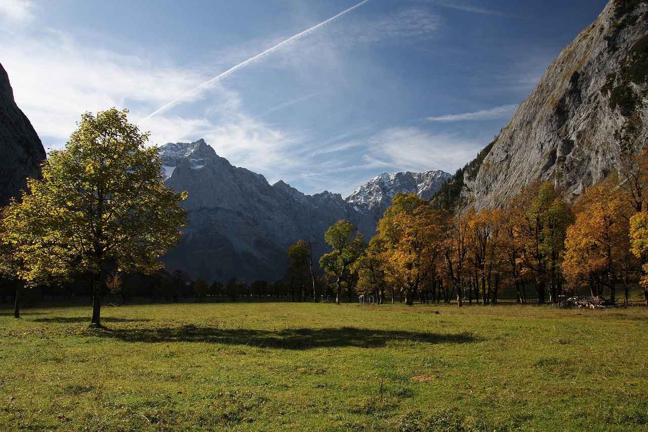 Engelli Bireyler İçin Toplu Taşıma İmkanları