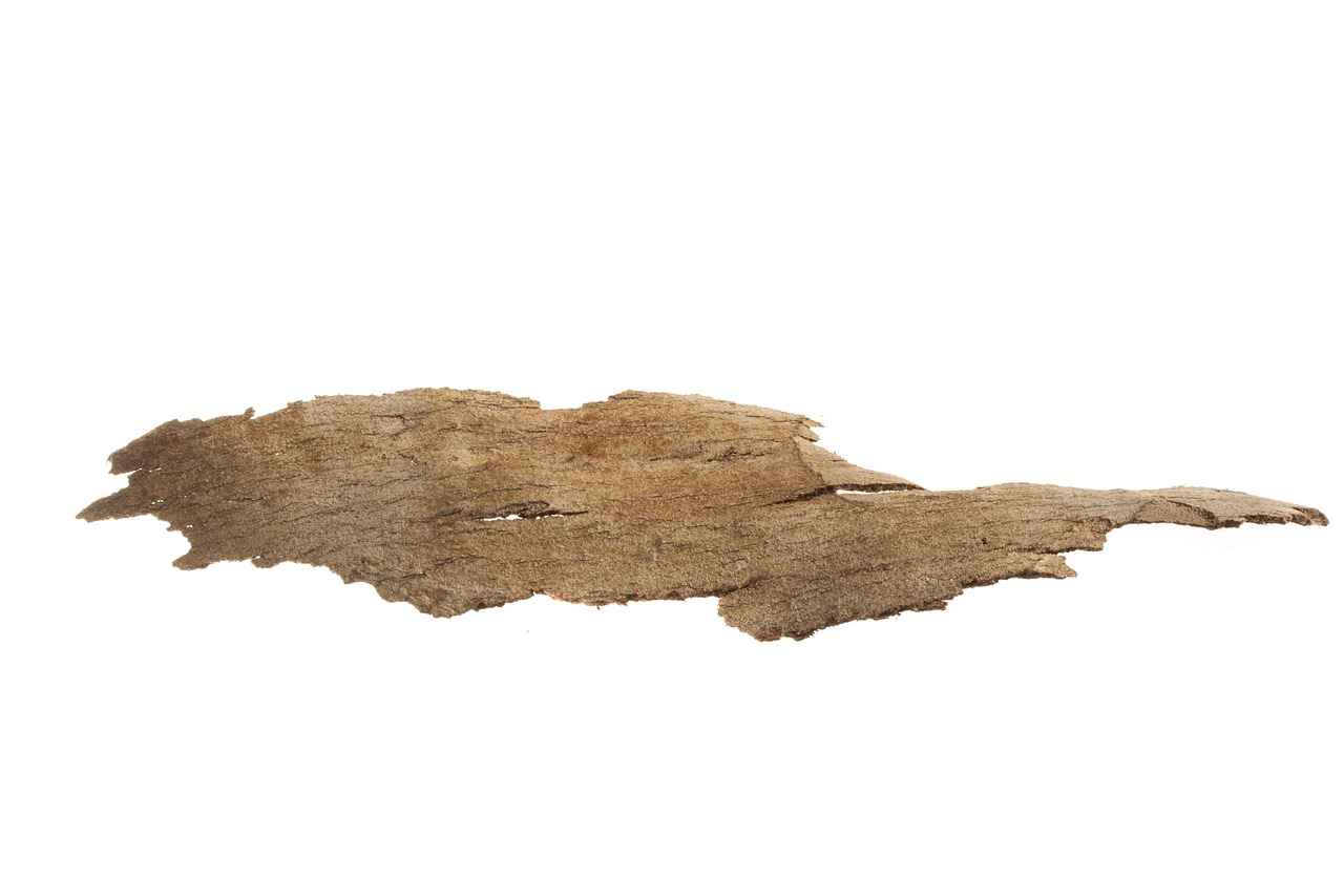 Toplu Taşıma ile İlgili Sık Sorulan Sorular