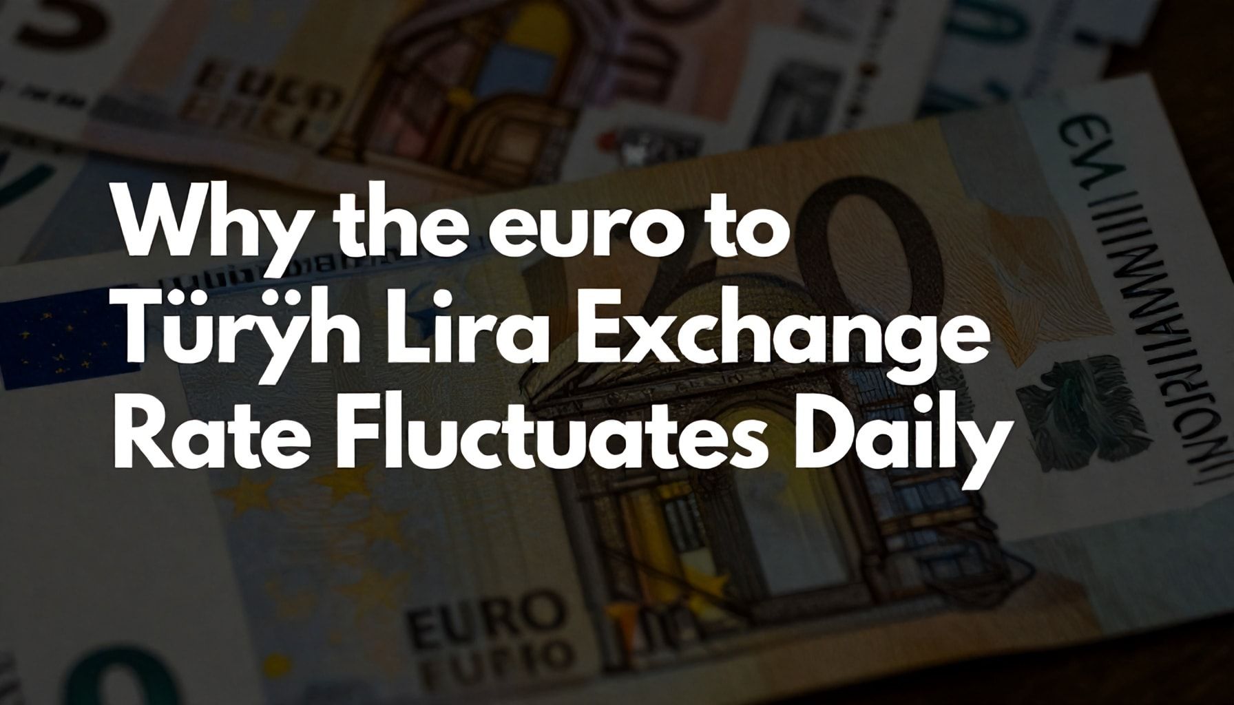 Why the Euro to TL Exchange Rate Fluctuates Daily*