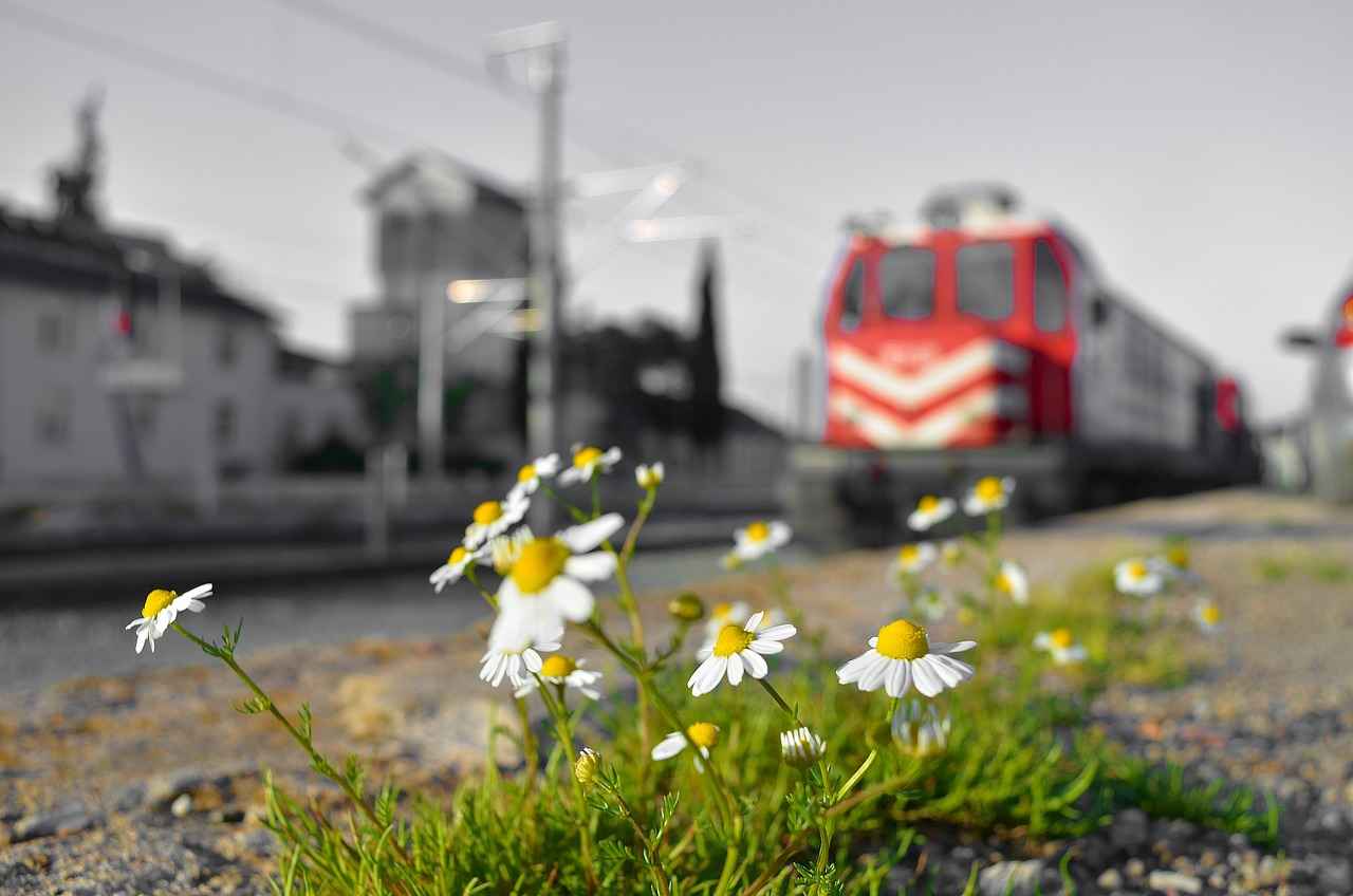Bağcılar'da Gerçekleşen Son Çalışmalar Nelerdir?