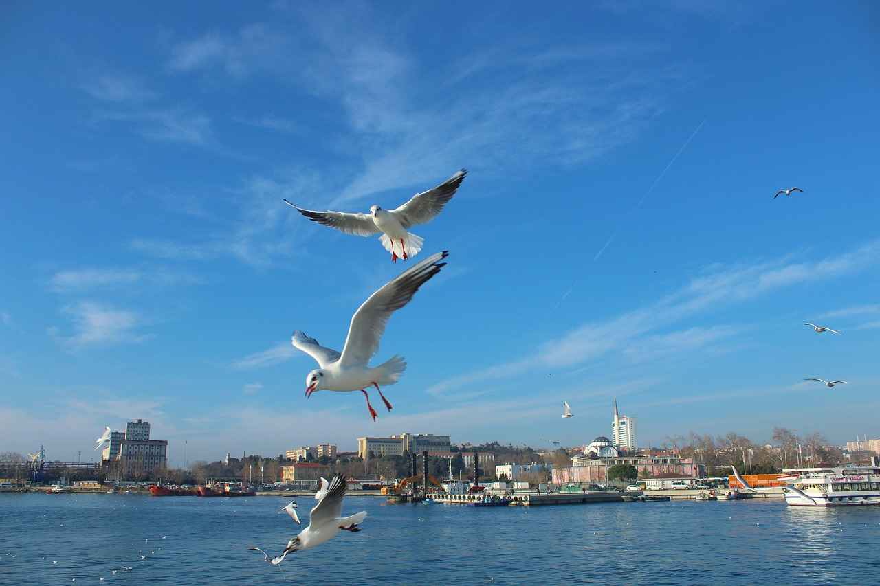 Alternatif Ulaşım Yöntemleri: Taksi ve Araç Paylaşım Hizmetleri