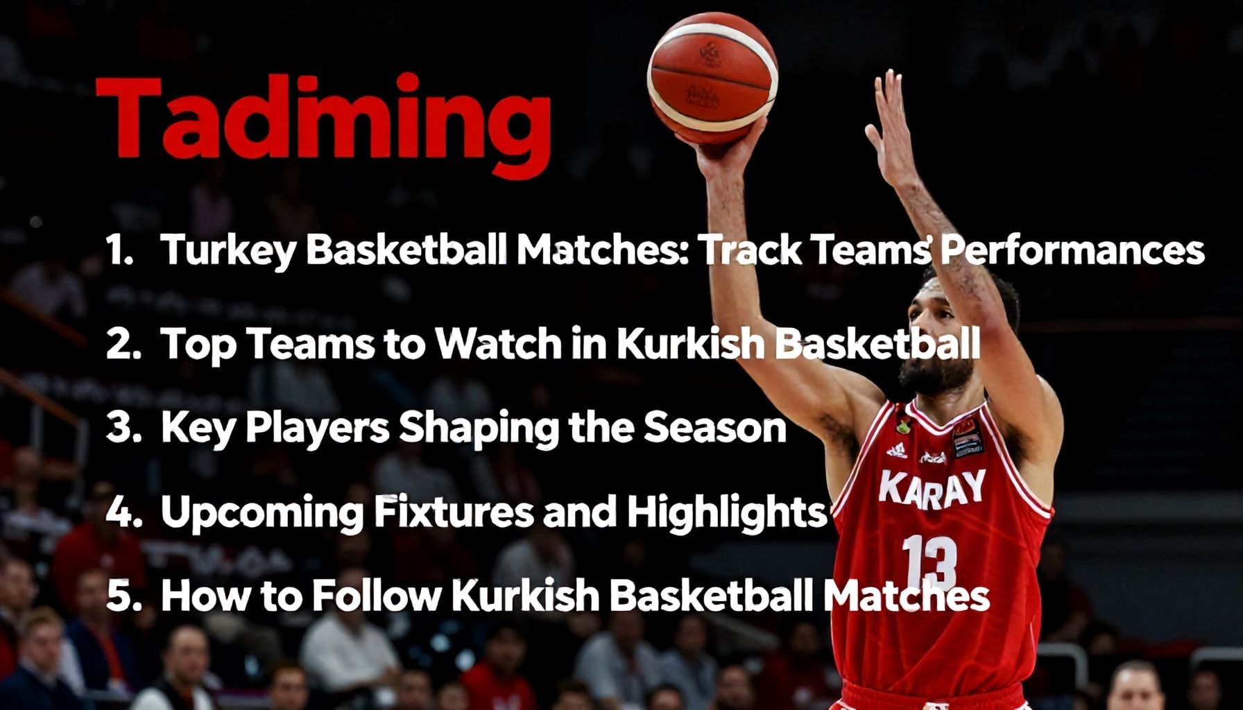 5 Subheadings for "Türkiye Basketbol Maçları: Takımların Performansını Takip Edin"*