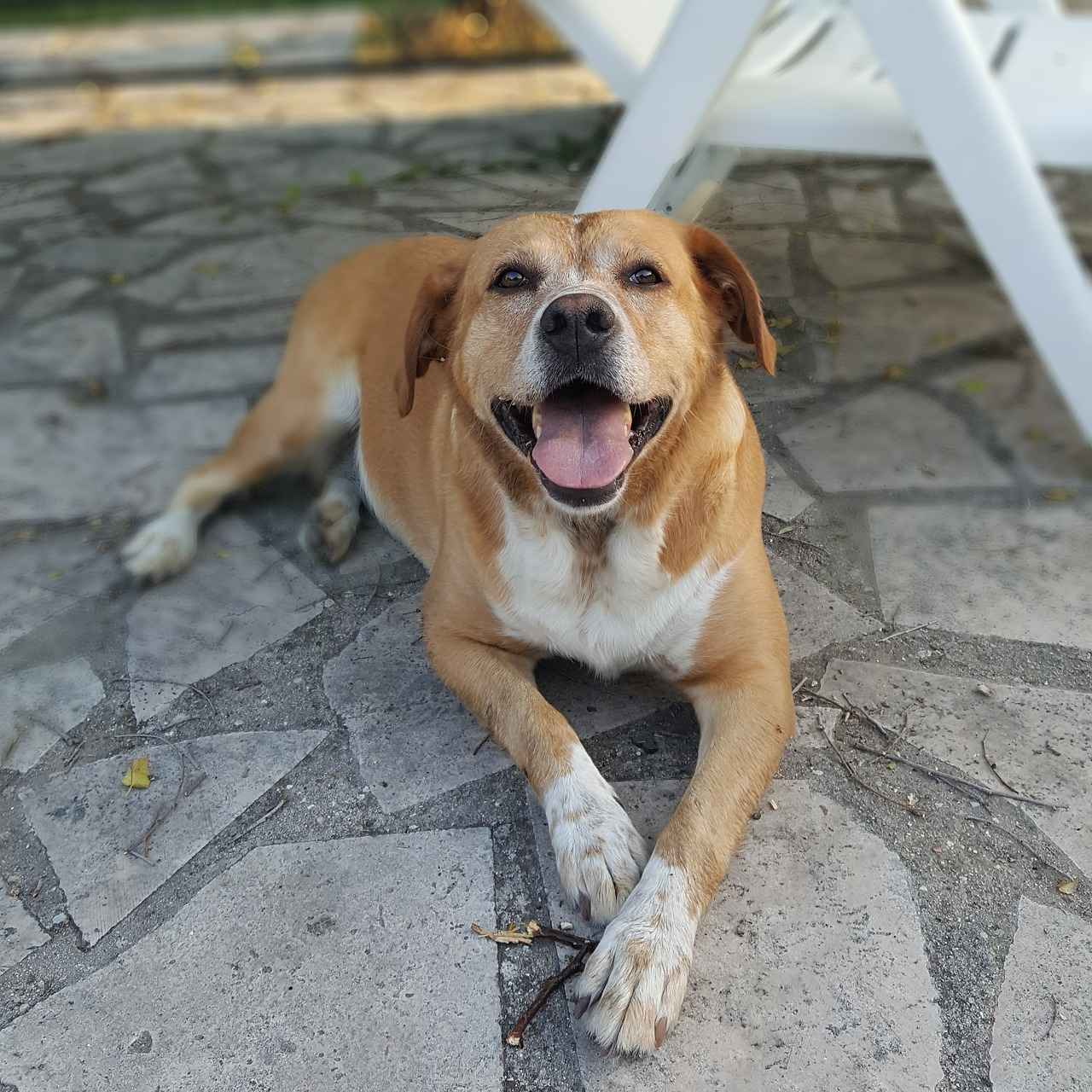 Sonuç: Bağcılar'da Kira Fiyatlarına Dair Genel Değerlendirme