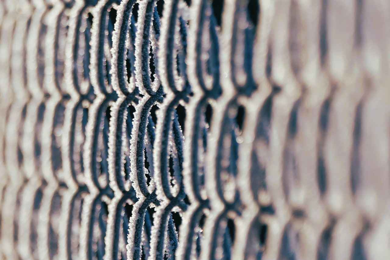 Bağcılar Devlet Hastanesi: Poliklinikler, Doktorlar ve Muayene Süreçleri 3 Hangi Doktorlar Mevcuttur?