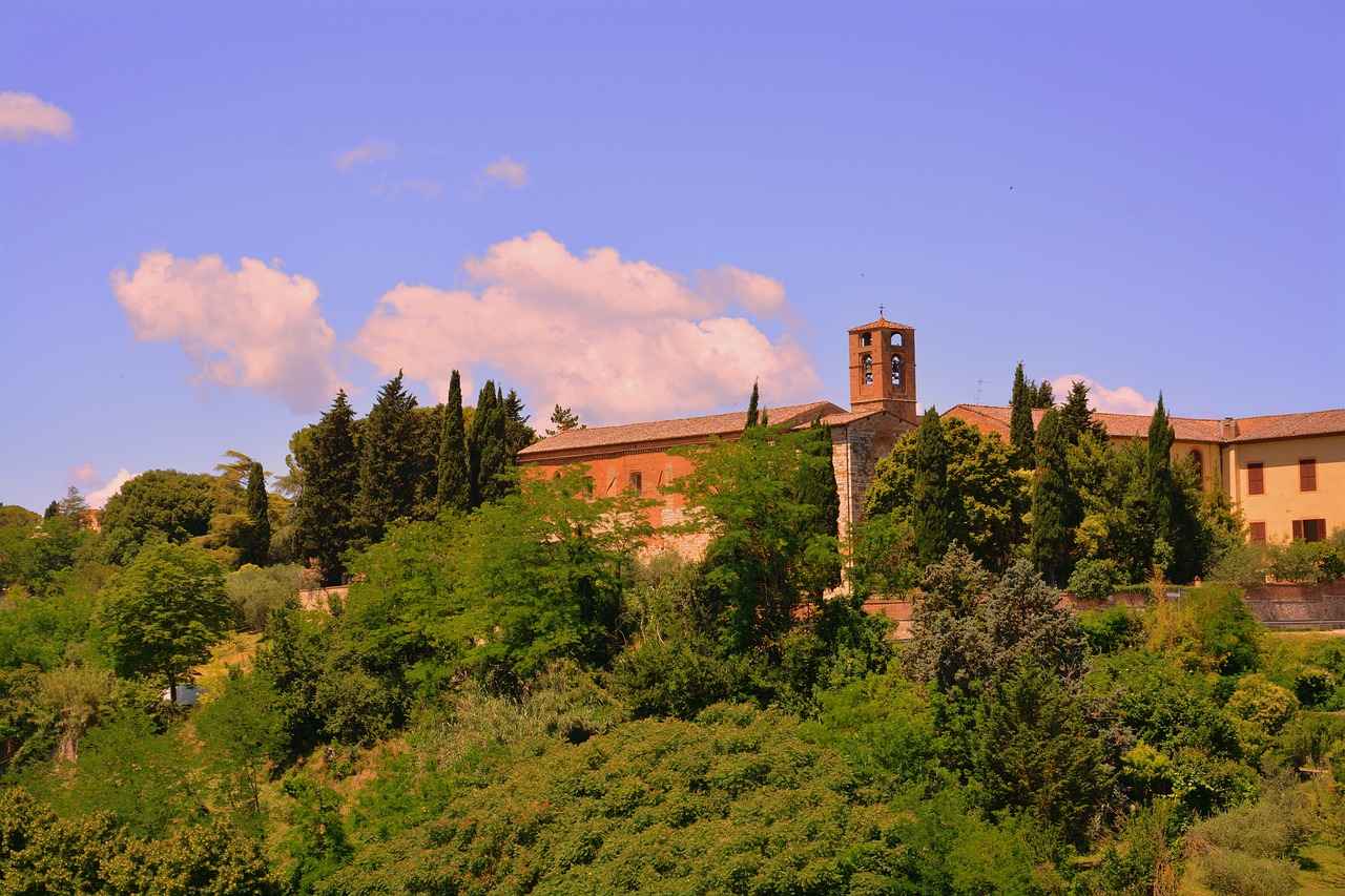 Nöbetçi Diş Hekimi Nedir?
