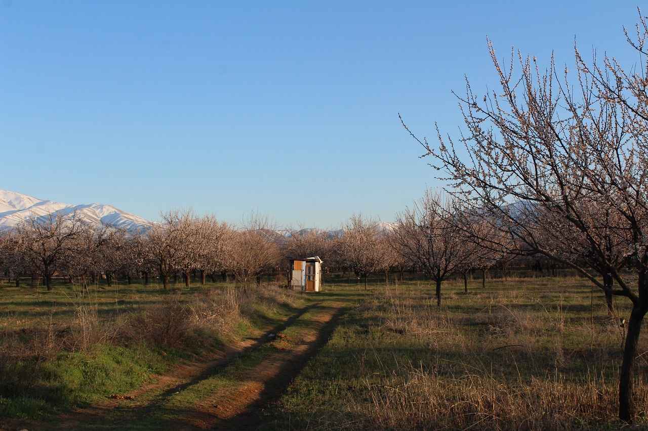 Bağcılar Sanayi Sitesi'nin Avantajları Nelerdir?