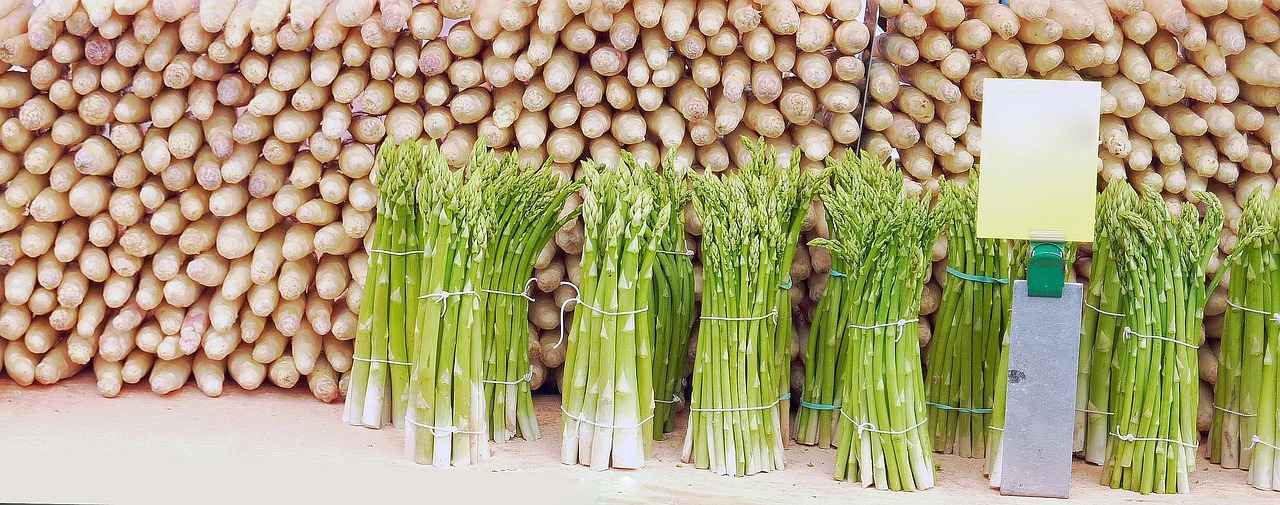 Bağcılar’da Alternatif Tıp ve Bitkisel Tedavi Merkezleri Bağcılar’da Alternatif Tıp ve Bitkisel Tedavi Merkezleri