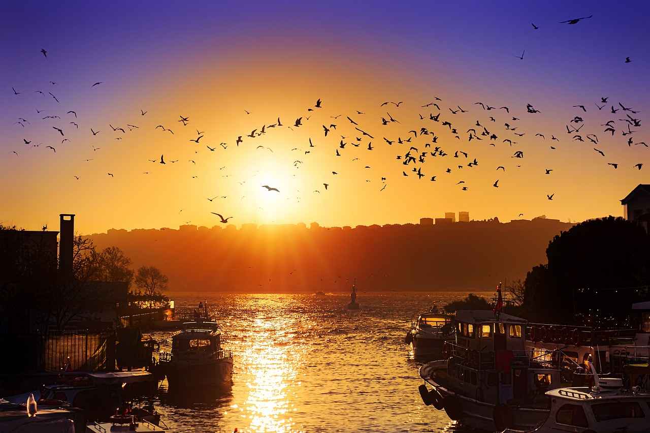 Bağcılar’da Hangi Mahallelerde Konaklama Tercih Edilmeli?