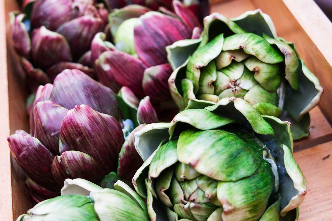 Bağcılar'da Hangi Süpermarket Zincirleri Var?