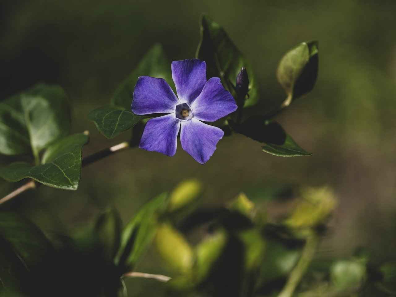 Bağcılar Eğlence Mekanları: Neler Sunuyor?
