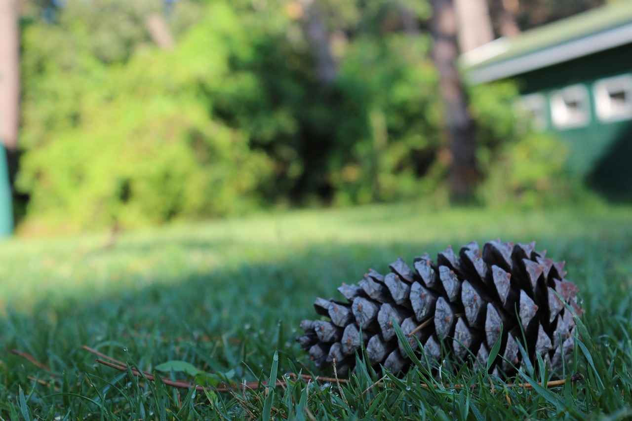 Dinlenme Alanlarının Özellikleri Nedir?