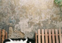 Dünya Göz Bağcılar’da Sağlığınızı Güvence Altına Almanın Yolları