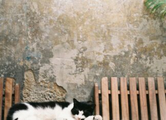 Dünya Göz Bağcılar’da Sağlığınızı Güvence Altına Almanın Yolları